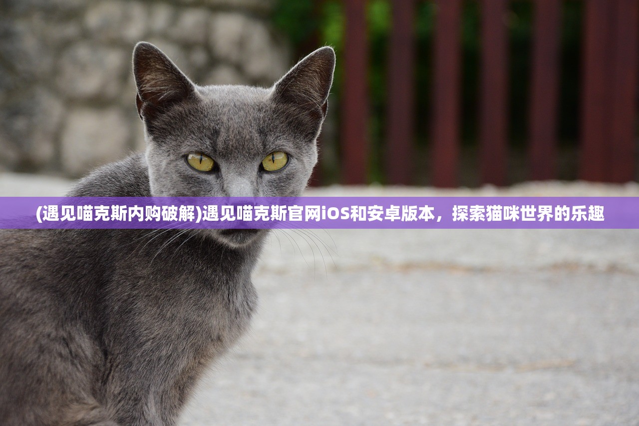 (时空猎人能赚人民币吗)时空猎人还能赚钱吗？如何在竞争激烈的市场中脱颖而出？