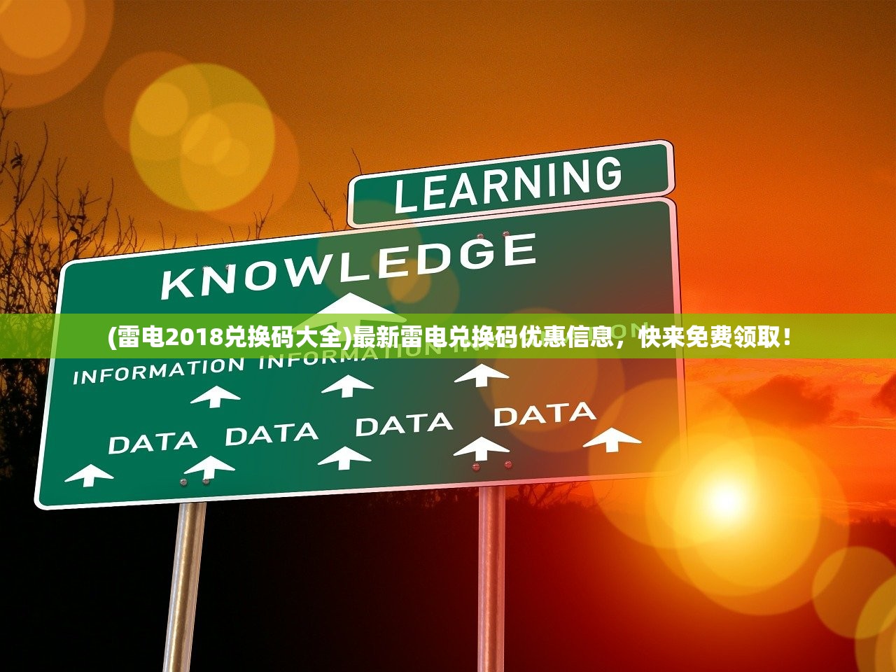 深度解析：宠物集结游戏全攻略—从基础操作到高级策略，打造最强战斗阵容秘籍